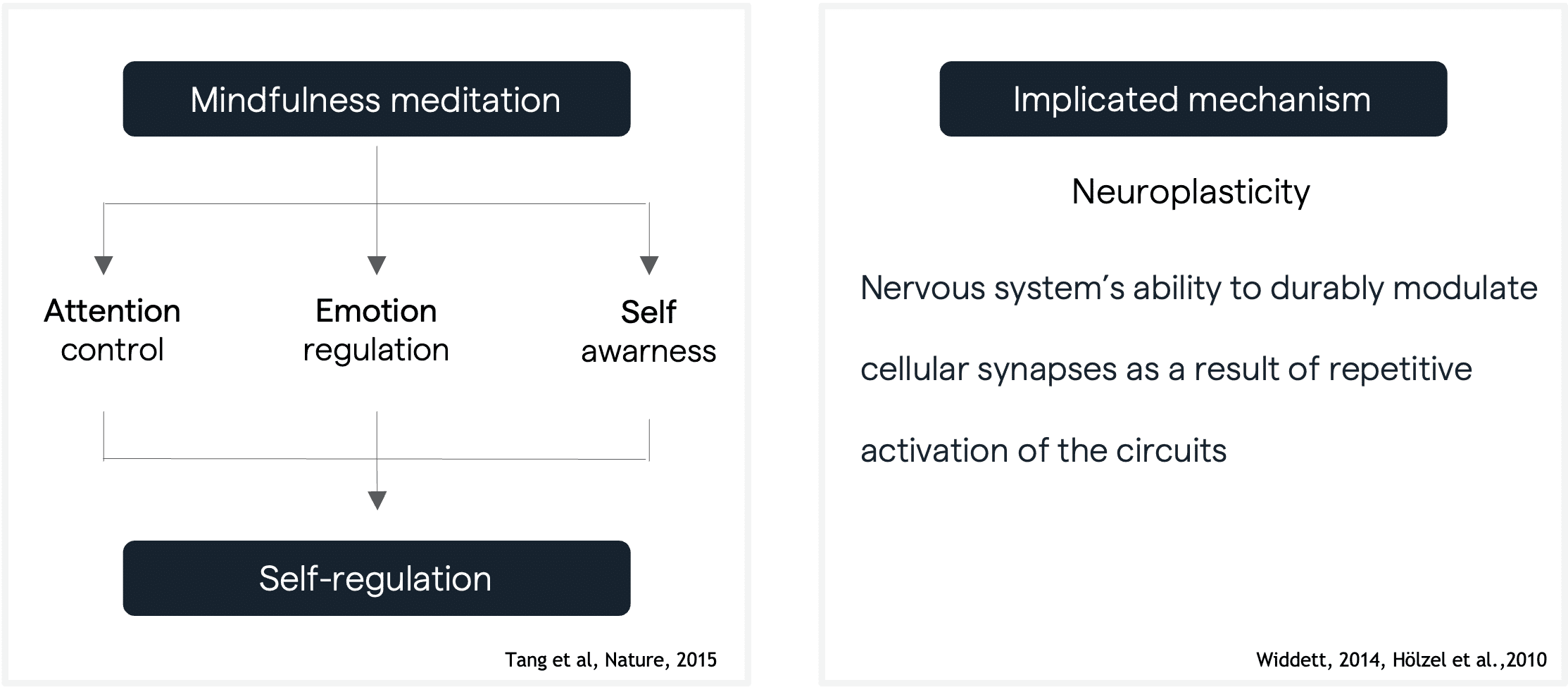 Implicated mechanisms of mindfulness meditation