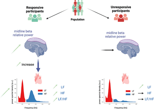 Mechanistic explanation for treatment response-related group differences.
